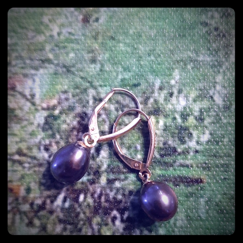 Amazing peacock earrings